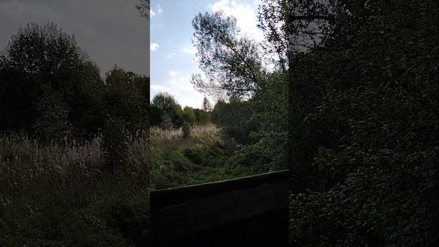 Дорогие подписчики,а Вы помните что с Вами происходит во сне??? смотреть онлайн