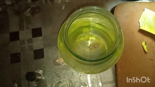 Будни птицевода серия 9,,Пропойка цыплят по методу Н. И. Золотухина смотреть онлайн