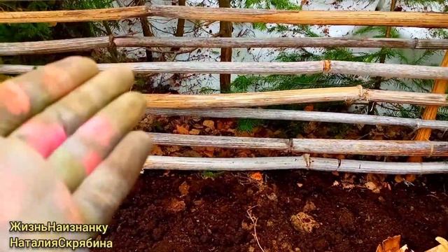 ЧАЙ С ШИПОВНИКОМ.ПОСАДКИ В ТЕПЛИЦЕ.ОБУСТРОЙСТВО КЛУМБЫ.