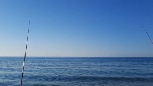 Ловим кефаль в Одессе. Секреты ловли кефали.