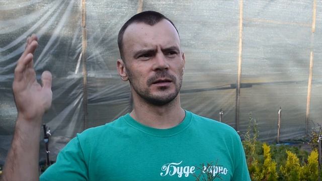 туя холмструп смотреть онлайн