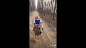 18+Тик Ток! Приколы Тик Ток! Лучшее Тик Ток! Треш Тик Ток! 18+