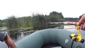 Рыбалка на Линя. Ловля Линя на поплавок. Насадка. Прикормка.
