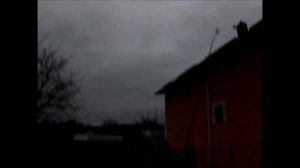 Бакинские бойные голуби. Игра ,Бои и нежданный гость - Первая часть(Vitalie Stirbu/Кишинёв, Молдова