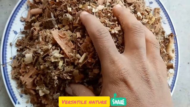 #Strawberry_Mulching Strawberry Mulching & Protecting & Best Fertilizer 😍😍👍🔔📝 смотреть онлайн