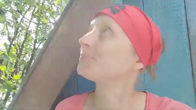 Дачный домик #покраска #своимируками #преображение #дача #дом #ремонт смотреть онлайн