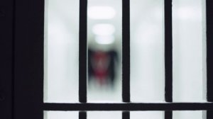 The Beauty Of The Handmaid's Tale