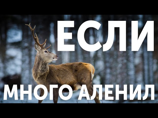 КАК ВЕРНУТЬ БЫВШУЮ, ЕСЛИ МНОГО И ДОЛГО АЛЕНИЛ. ВОЗВРАТ БЫВШЕЙ ПОСЛЕ АЛЕНИЗМА. ВЕРНУТЬ ДЕВУШКУ КАК!?