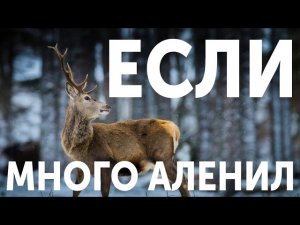 КАК ВЕРНУТЬ БЫВШУЮ, ЕСЛИ МНОГО И ДОЛГО АЛЕНИЛ. ВОЗВРАТ БЫВШЕЙ ПОСЛЕ АЛЕНИЗМА. ВЕРНУТЬ ДЕВУШКУ КАК!?