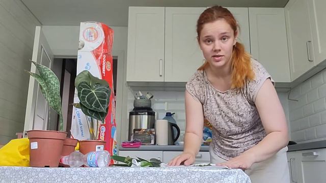 найбільша розпаковка рослин 😱