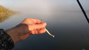 Окуни-кабаны.Микроджиг с Shimano soare bb s700suls 0.4-4гр.Рыбалка на крупного окуня.