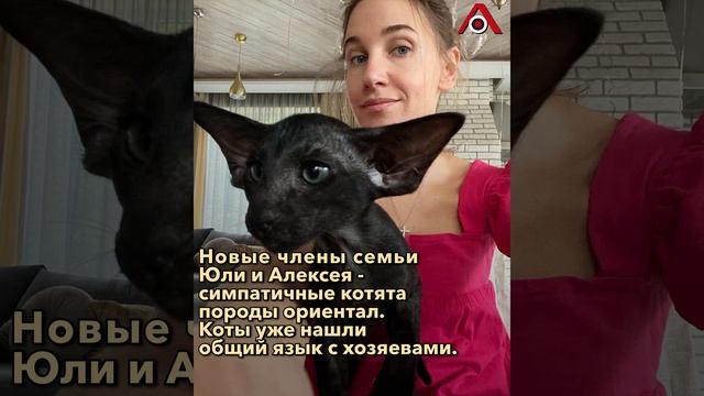 «Они оказались сильнее»: новые жильцы в доме Ковальчук и Чумакова