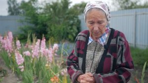 Вредители малины. Чем обработать малину от вредителей