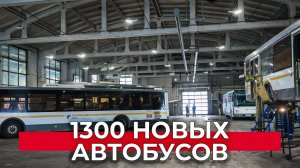 Современные и комфортные: обновление парка автобусов Подмосковья