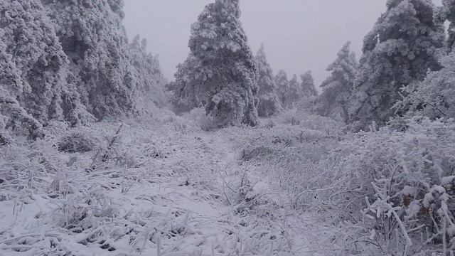 Winter. Пятигорск , Машук. зимняя сказка 3 смотреть онлайн