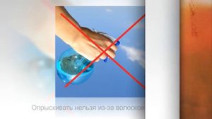 ГЕРАНЬ ДУШИСТАЯ, ПЕЛАРГОНИЯ | Уход и разведение в домашних условиях