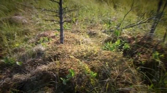 Customs and traditions of the Siberian Tatars. Residents of the lake district.Обычаи Сибирских тата смотреть онлайн