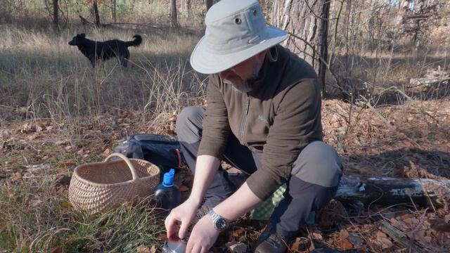 Не грибной ноябрь