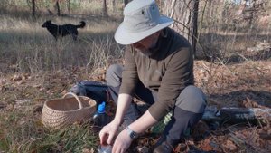 Не грибной ноябрь