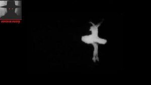 Смертельные Файлы Обзор на Файл The End.avi Выпуск №6