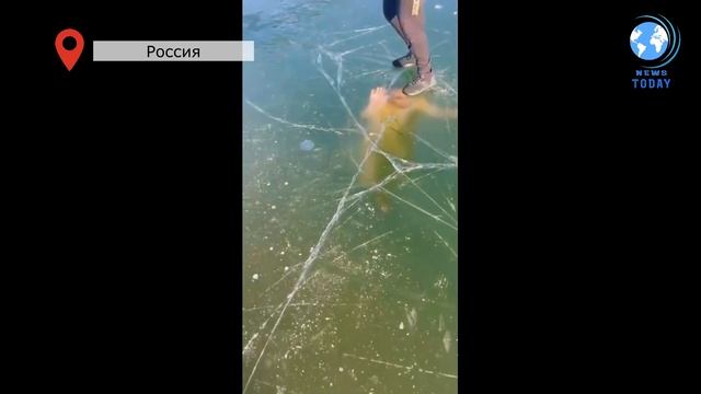 Профессиональный пловец показал как выбраться из-под льда смотреть онлайн