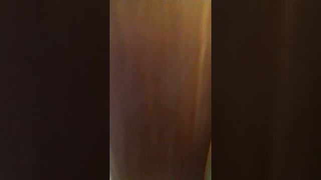 как мы живем с синичкой смотреть онлайн