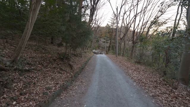 4K・ Полёты, хайкинг и прогулка в Нагаторо округа Титибу префектуры Сайтама смотреть онлайн