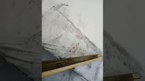 очистка холстиков от прополиса