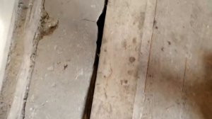 Полы в пристройке к дому своими руками.