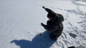 ЛОВЛЯ ЖЕРЕХА ЗИМОЙ