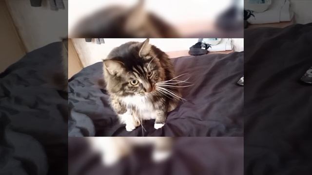 Любитель резиночек :))))