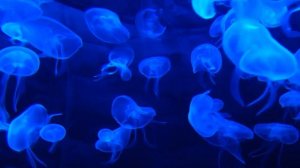 Тёща и зять: Тёща поймала зятя за изменой но потом сама стала его любовницей / Удивительные истории