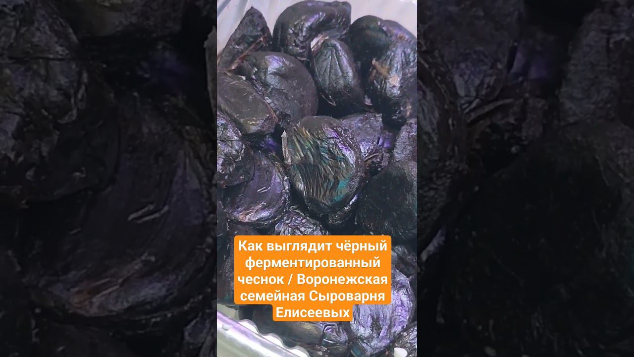 Как выглядит чëрный ферментированный чеснок / Воронежская семейная Сыроварня Елисеевых