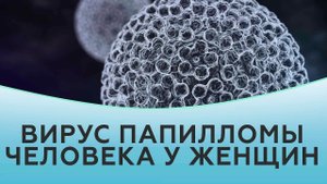 ВПЧ у женщин. Вирус папилломы человека.