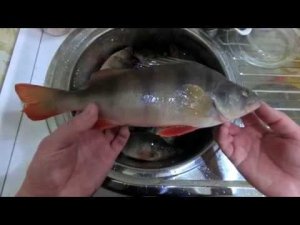 За окунем на речку Пелым