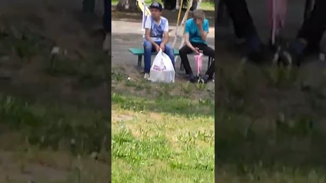 Погоня за писями #5 У писи день рождение смотреть онлайн