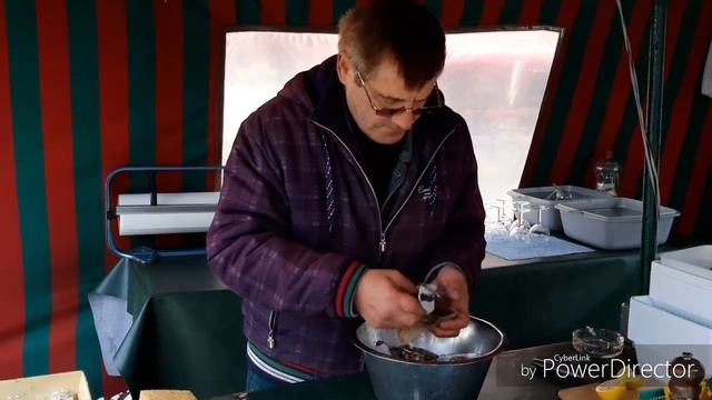 Устрицы в Брюсселе и РЫБНЫЙ РЕСТОРАН Noordzee Mer du Nord с RusLanaSolo