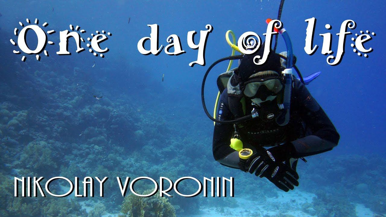 Дайвинг в Шарм эль Шейхе, Египет. Один день из жизни - Николай Воронин смотреть онлайн