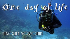 Дайвинг в Шарм эль Шейхе, Египет. Один день из жизни - Николай Воронин