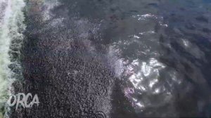 Лодка ORCA GT 360 НДФ на воде