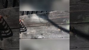 Как быстро закрутить крючки в дерево