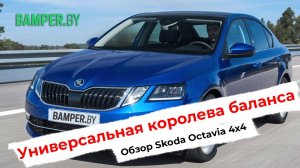 Универсальная королева баланса. Обзор Skoda Octavia 4x4, 2019 год