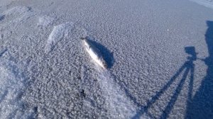 Байкал одарил омулями и сижком Ловистые мухи