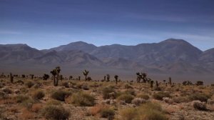 10 САМЫХ ИНТЕРЕСНЫХ ТЕОРИЙ ЗАГОВОРА