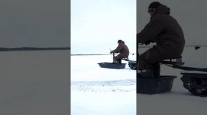 Мотобуксировщик (мототолкач)  Помор лонг