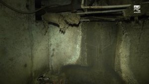 Коммунальный ликбез: кто в ответе за подвал?