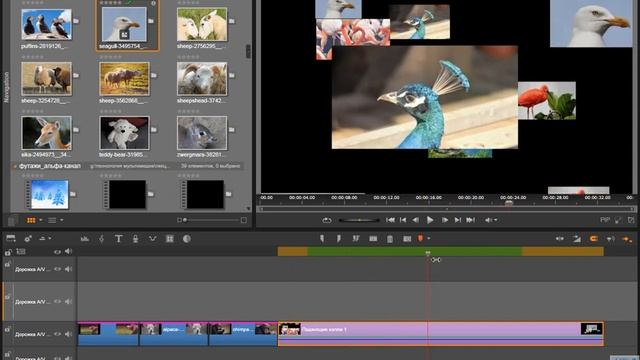 Создание слайд шоу в редакторе видео Pinnacle Studio 20 смотреть онлайн