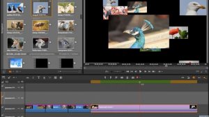 Создание слайд шоу в редакторе видео Pinnacle Studio 20