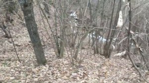 Ремонт питьевого колодца, Истринский район.