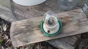 Самая лучшая  поилка для пчёл с подогревом воды.